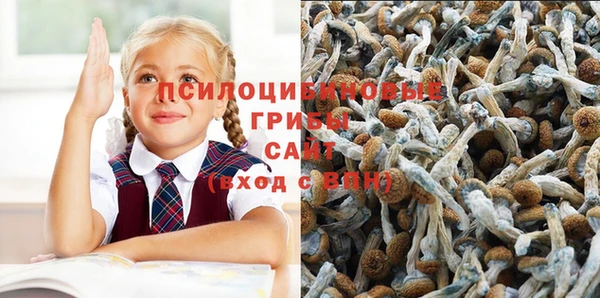 mdpv Баксан