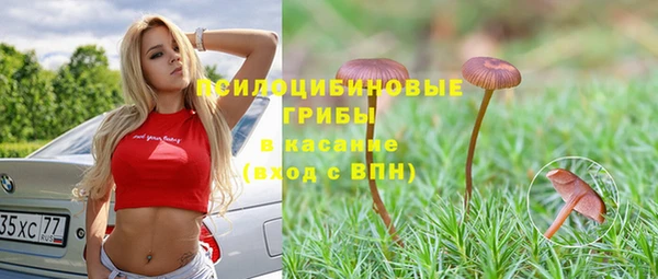 Альфа ПВП Балахна